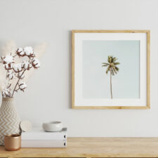 palm-tree-50.jpg2