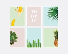 pastel_tropical_layout-01
